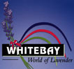 Whitebay - World of Lavender